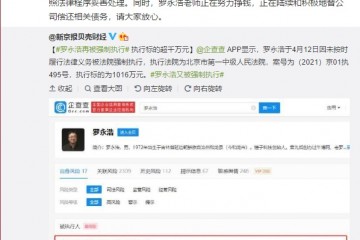 罗永浩又成被执行人交个朋友是手机公司债务正努力还钱