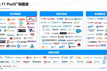 数睿数据入选《2021中国PaaS市场研究报告》技术赋能型公司